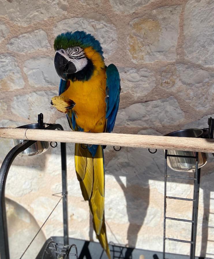 Jimmy'S Apartment Lefkada, Katochori Katokhórion エクステリア 写真